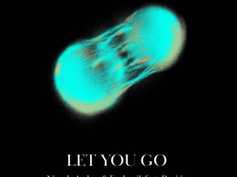 Let You Go (Notre Dame Remix) (Single)