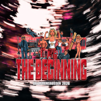 Si det som det er (Single)