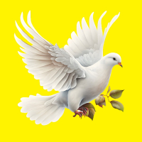 우리는 평화를 원합니다 (Single)