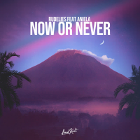 Now or Never (Single)