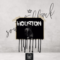 Houston (Single)