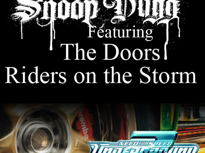 Riders On The Storm (Fredwreck Remix) (Single)