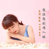 想你想到难入睡 (Single)