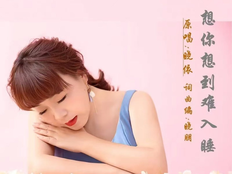 想你想到难入睡 (Single)