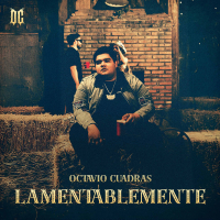 Lamentablemente (Single)