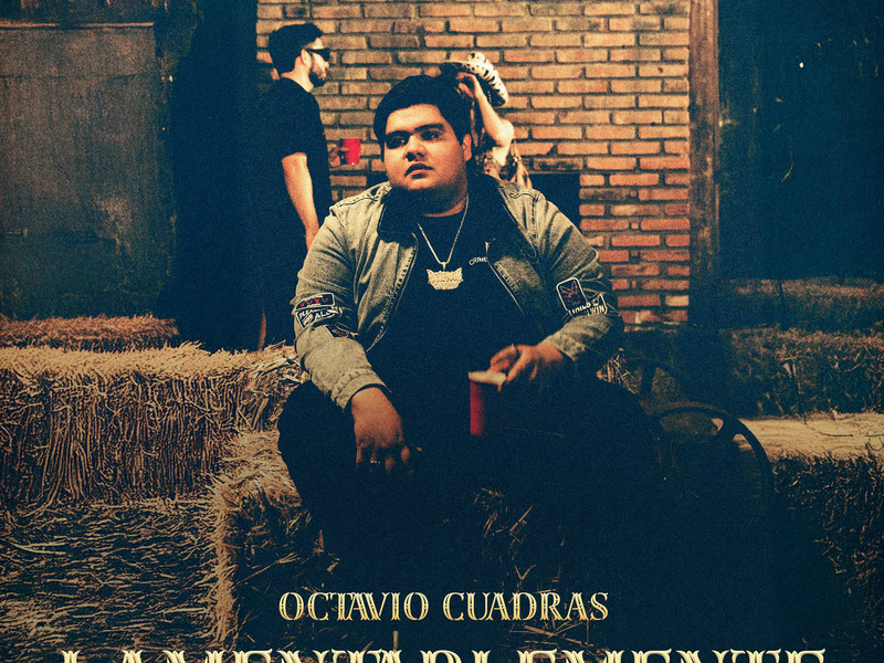 Lamentablemente (Single)