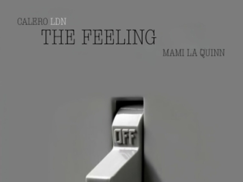 The Feeling (Single)