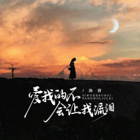 爱我的人不会让我流泪 (DJ京仔版) (Single)