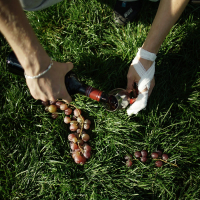 ZERSPLITTER DEIN GLAS (Single)