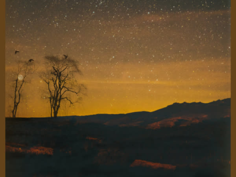 Tonight Is The Night (Single)