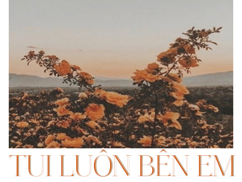 Tui Luôn Bên Em (Single)