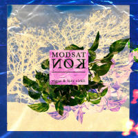 Modsat Køn (Single)