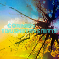 Taushetens myte (Single)