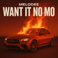 WANT IT NO MO (Single)