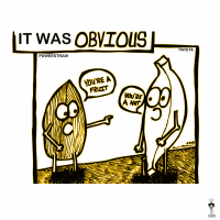 It Was Obvious (feat. Twista) (Single)