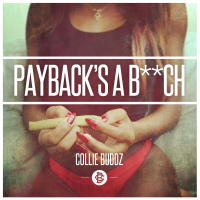 Payback's a B**ch - Single