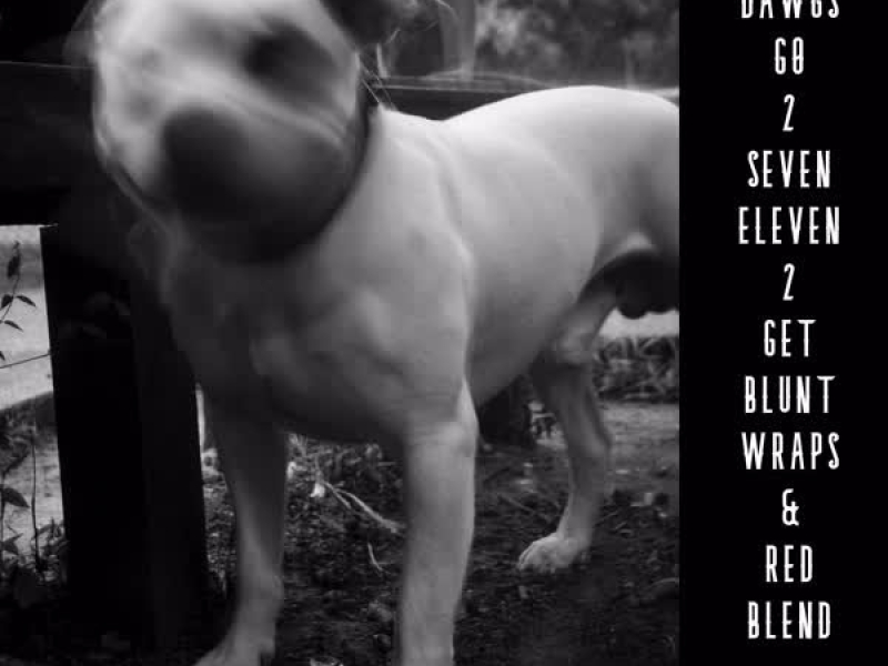 All Dawgs Go 2 Seven Eleven 2 Get Blunt Wraps & Red Blend (Single)