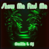 Show Me Find Me (Single)