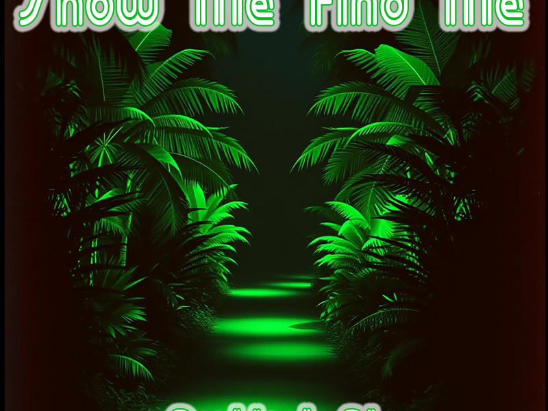 Show Me Find Me (Single)