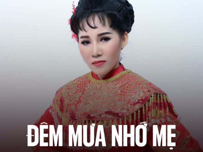 Đêm Mưa Nhớ Mẹ (Single)