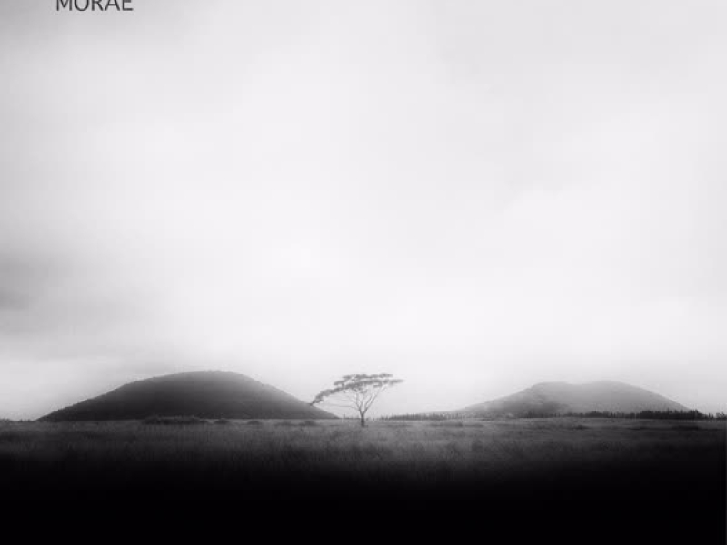 Wind from Half Island