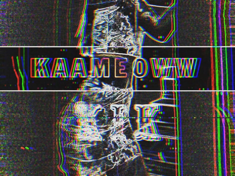 KAAMEOWW (Single)