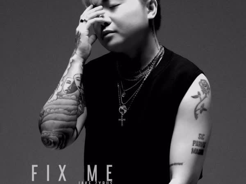 Fix Me (Single)