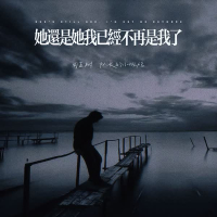 她还是她我已经不再是我了 (Single)