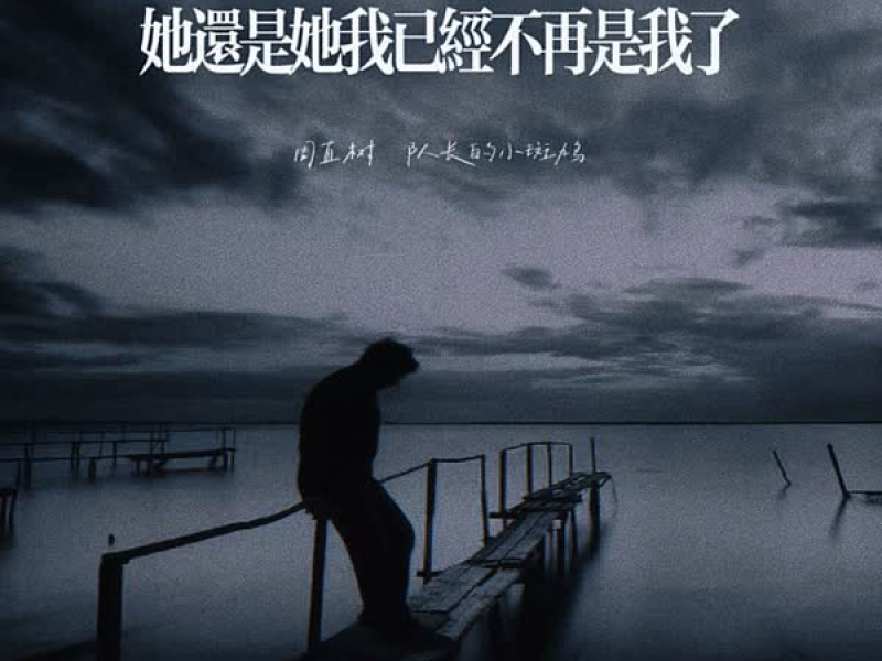 她还是她我已经不再是我了 (Single)