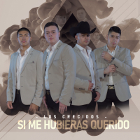 Si Me Hubieras Querido (Single)