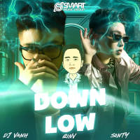 Down Low (Single)