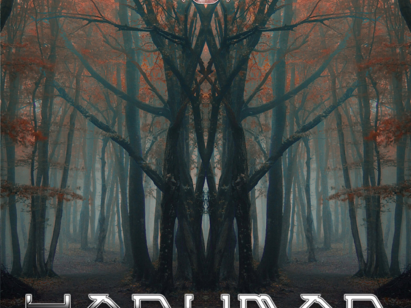 Spirits in the Forest (EP)