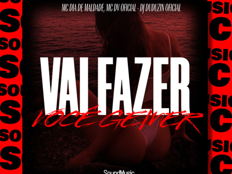 VAI FAZER VOCÊ GEMER (Single)