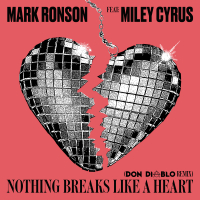 Nothing Breaks Like a Heart (Don Diablo Remix) (Single)