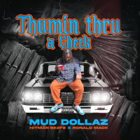 Thumin thru a check (Single)