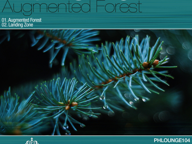 Augmented Forest (EP)