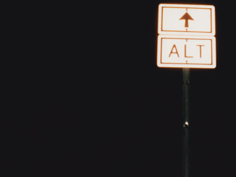 I Decided to Fly (Single)