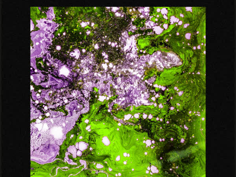 The Flute Dance (Single)