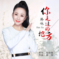 你走过的地方 (Single)