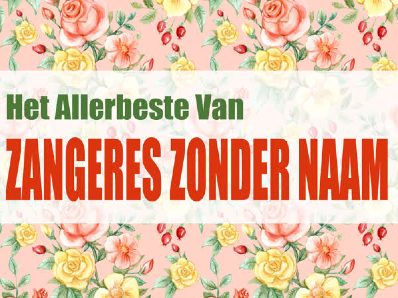 Het Allerbeste Van Zangeres Zonder Naam