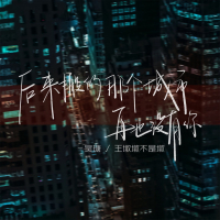 后来搬的那个城市再也没有你 (Single)