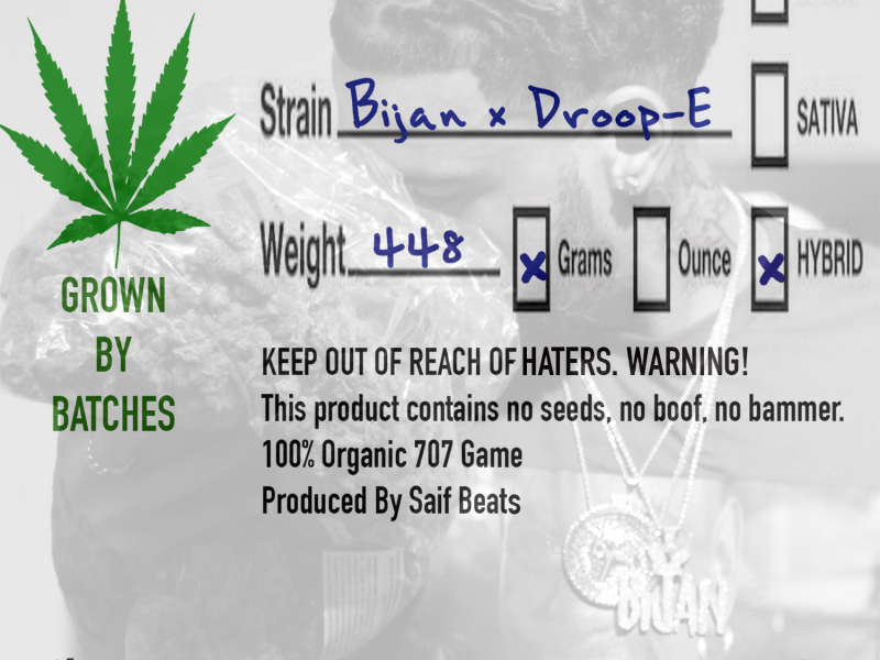 Smoking Out the P (feat. Droop-E)