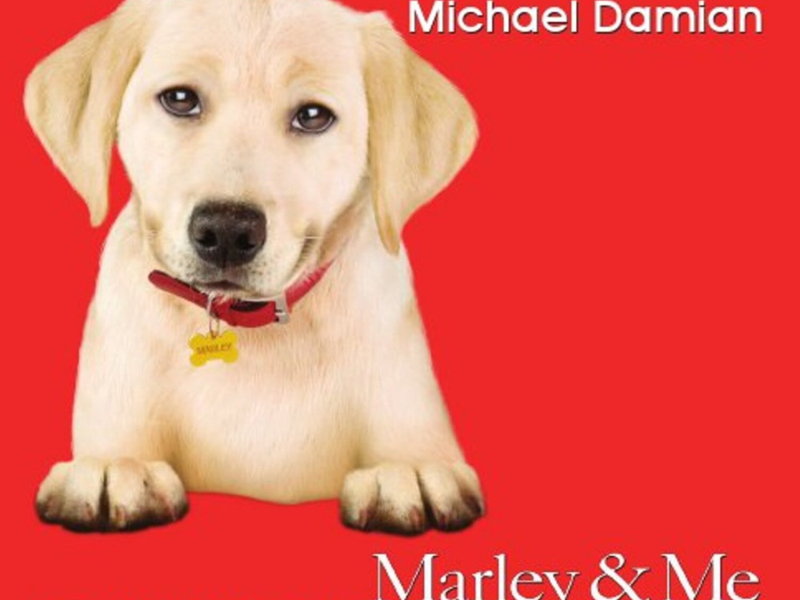 Little Marley & Me (Single)