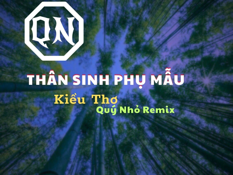 Thân Sinh Phụ Mẫu (Quý Nhỏ Remix) (Single)