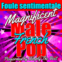 Foule Sentimentale: Magnificent French Male Pop