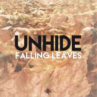 Leaves Falling (Single)