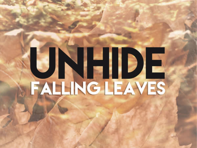 Leaves Falling (Single)