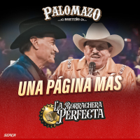 Una Página Más (En Vivo) (Single)