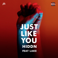 Just Like You (feat. Lake) (Single)