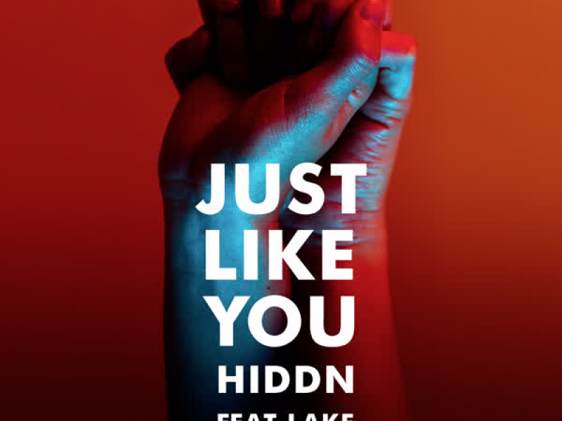 Just Like You (feat. Lake) (Single)